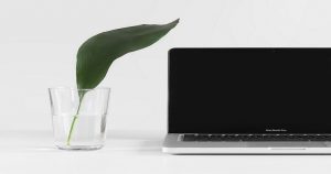 Image of a laptop sitting on a desk next to a glass of water. the glass of water has a large green leaf growing in it: this article is about content marketing.
